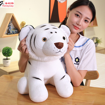 Hai Liwei hand-painted Tiger plush toy tiger doll simulation white tiger doll childrens zodiac Tiger mascot doll