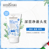 Tea tree scalp scrub cream for oil control oil head dandruff removal bacteriostasis antipruritic and exfoliating massage cream care cleaning and oil removal