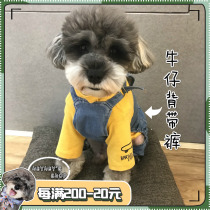 Pet dog spring and autumn and winter super handsome denim elastic bib Schnauzer teddy bear Corgi bucket
