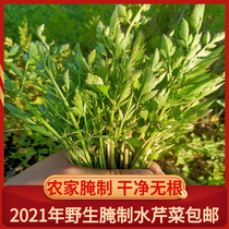 Wild water celery fresh pickled small leaf cress River celery wild vegetable 2021 New National 500g
