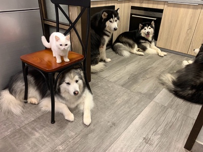 接下来是凑字数接下来是凑字数接下来是凑字数接下来是凑字数接下来是凑字数接下来是凑字数接下来是凑字数接下来是凑字数接下来是凑字数接下来是凑字数接下来是凑字数接下来是凑字数接下来是凑字数接下来是凑字数接下来是凑字数接下来是凑字数接下来是凑字数接下来是凑字数接下来是凑字数接下来是凑字数接下来是凑字数接下来是凑字数接下来是凑字数接下来是凑字数接下来是凑字数接下来是凑字数接下来是凑字数接下来是凑字数接下来是凑字数接下来是凑字数接下来是凑字数接下来是凑字数接下来是凑字数接下来是凑字数接下来是凑字数接下来是凑字数接下来是凑字数接下来是凑字数接下来是凑字数接下来是凑字数接下来是凑字数接下来是凑字数接下来是凑字数接下来是凑字数接下来是凑字数接下来是凑字数接下来是凑字数接下来是凑字数接下来是凑字数接下来是凑字数接下来是凑字数接下来是凑字数接下来是凑字数接下来是凑字数接下来是凑字数接下来是凑字数接下来是凑字数接下来是凑字数接下来是凑字数接下来是凑字数接下来是凑字数接下来是凑字数接下来是凑字数接下来是凑字数 接下来是凑字数接下来是凑字数接下来是凑字数接下来是凑字数接下来是凑字数接下来是凑字数接下来是凑字数接下来是凑字数接下来是凑字数接下来是凑字数接下来是凑字数接下来是凑字数接下来是凑字数接下来是凑字数接下来是凑字数接下来是凑字数接下来是凑字数接下来是凑字数接下来是凑字数接下来是凑字数接下来是凑字数接下来是凑字数接下来是凑字数接下来是凑字数接下来是凑字数接下来是凑字数接下来是凑字数接下来是凑字数接下来是凑字数接下来是凑字数接下来是凑字数接下来是凑字数接下来是凑字数接下来是凑字数接下来是凑字数接下来是凑字数接下来是凑字数接下来是凑字数接下来是凑字数接下来是凑字数接下来是凑字数接下来是凑字数接下来是凑字数接下来是凑字数接下来是凑字数接下来是凑字数接下来是凑字数接下来是凑字数接下来是凑字数接下来是凑字数接下来是凑字数接下来是凑字数接下来是凑字数接下来是凑字数接下来是凑字数接下来是凑字数接下来是凑字数接下来是凑字数接下来是凑字数接下来是凑字数接下来是凑字数接下来是凑字数接下来是凑字数接下来是凑字数