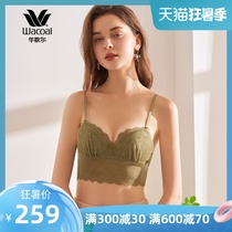 Wacoal Triangle cup lace bralette No rim lingerie bra WV5508