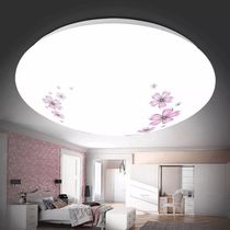 Cherry camellia LED ceiling lamp Bedroom living room indoor corridor Kitchen toilet Energy-saving home super bright