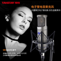 Takstar to win CM-450-L electronic tube capacitive microphone big diaphragm professional recording microphone live