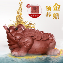 Lucky Purple Sand tea Pet Golden Toad Handmade creative sculpture ornaments Toad tea play famous boutique tea set plate can be raised