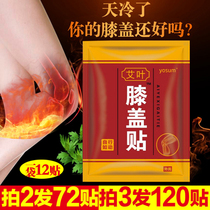 Ai Ye Knee Sticker Joint Sticker Hot Sticker Baby Sticker Knee Sticker Knee Pain Sticker