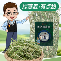 Yannan Tiantian domestic green oats 500g pet rabbit Chinchow pig guinea pig pasture hay instead of Australian wheat
