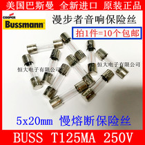 5 * 20mm T 125mA T 250mA T 500mA 250v Rambler audio imported Fuse Fuse