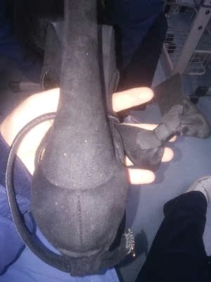 蝴蝶结容易掉 但是很好看