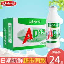Wahaha AD calcium milk 220g *24 large bottle whole carton Wahaha childrens yogurt milk breakfast drink products wholesale