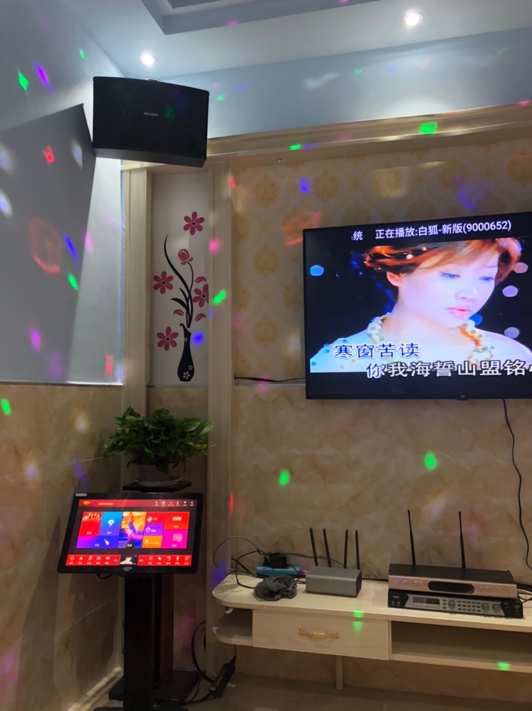 麦乐迪 N系列家庭ktv怎么样？一个月使用彻底后悔吗!