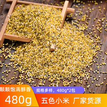 Liangnianlong five-color millet 480g*2 packs