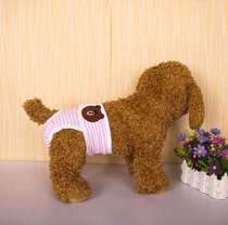 Female pants women leak-proof summer thin sanitary shorts women menstrual period leak-proof mother dog health pants Women dog Teddy