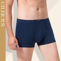 Shile mens underwear cotton mens flat corner pants cotton pants youth elastic boxer mens shorts