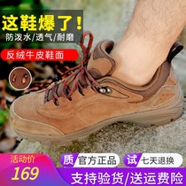 Pathfinder hiking shoes mens and womens 20 autumn and winter outdoor non-slip wear-resistant water repellent breathable hiking shoes TFAI91957