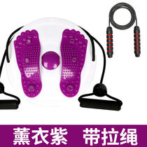 Direct sales large and small indoor fitness equipment magnet Home fitness plate Magnetic therapy multi-functional abdominal device twister plate