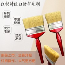 Mane long paint wood handle barbecue cleaning pig hair sweeping gray oil brush stunt white boutique