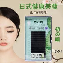 Early ciliary series Japanese health beauty ciciliary planting grafting eyelash Camellia black bright soft thick light