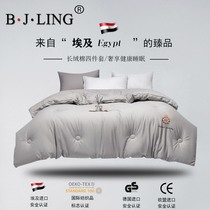 Bai Family Romance high-end winter quilt with long suede cotton soybean fiber full cotton pure cotton spring autumn quilt core winter thickened warm quilt