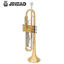 Zinbao small number JBTR-601 drop B tuning beginner professional playing golden Atlantic pipe musical instrument Shunfeng