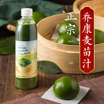 Wheat Green Juice Green Group Special Jokom Wheat Fry Juice Home Small Green Water Agrass Juice Qingming Festival Qingming Fruit Raw Material