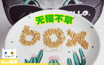 25g cat grass seed cat snack wheat grass seed hairy ball conditioning stomach hair ball vomiting help digestion