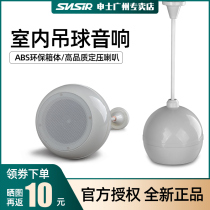 SNSIR Shen 004 hanging ball suspension rod type ceiling fixed pressure ceiling horn public radio music speaker