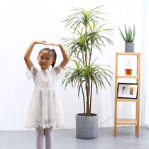 Simulated plant bonsai indoor living room large floor-to-ceiling fake tree horsetail iron loose tailed sunflower decorative ornaments set large