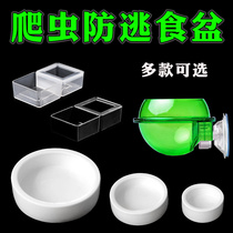 Reptile anti-escape food basin Feed bread worm Barley worm Anti-escape palace lizard Spider Water basin Horned frog bath basin