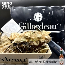 Imported by air from France original oysters Girado Ginado N1 N2 12 wooden boxes of live sashimi