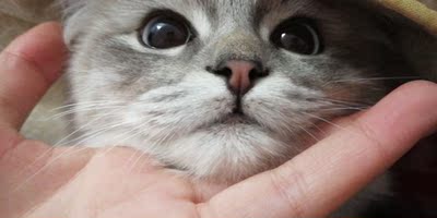 挺好的挺好的挺好的挺好的挺好的挺好的挺好的挺好的挺好的挺好的挺好的挺好的挺好的挺好的挺好的挺好的挺好的挺好的挺好的挺好的挺好的挺好的挺好的挺好的挺好的挺好的挺好的挺好的挺好的挺好的挺好的挺好的挺好的