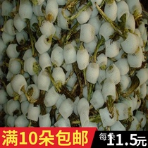 New goods Tianshan snow lotus flower Xinjiang authentic Tianshan snow lotus flower dry 1 middle flower 10