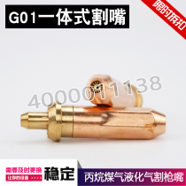 G01 G01 G07 30100300 split stainless steel propane cut nozzle gas liquefied gas slit gun mouth Plum Blossom Mouth