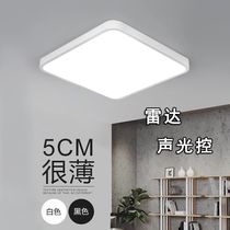 LED sound and light control Ultra-thin ceiling lamp Wrought iron radar induction lamp Stairs aisle doorway corridor Human body induction