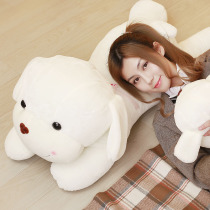 Cute Lying dog Plush toy Ragdoll Large dog sleeping pillow doll Doll Birthday gift girl