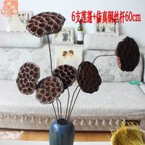 Dried lotus pod dried flower original mini lotus pod arrangement dried flower shooting props art modeling real lotus pod pine fruit 6 lotus