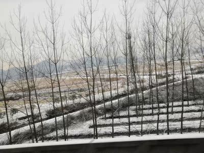 还不错，只是还没用上，你懂的呀！