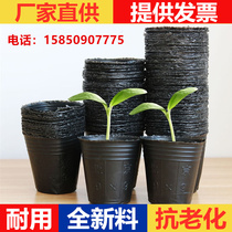 Nutrition bowl Seedling bag Nutrition bag Nutrition cup Seedling pot Succulent vegetable planting seedling pot Seedling