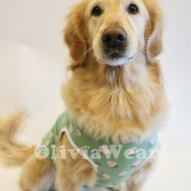 New Golden Retriever Alaska sterilization surgical suit bag belly pure cotton breathable big dog vest Pet clothes