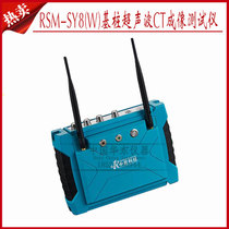 Wuhan Zhongyan Technology RSM-SY8(W) Pile Ultrasonic CT Imaging Tester Imaging Detector