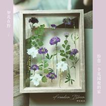 Natural flower material escorted flower decoration painting DIYins plant handmade specimen glass frame dry flower parenting dried flowers