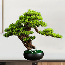 Living Room Pendulum new Chinese style Hotel Decent Board Room Tea Table Greet Guests Pine Incense Stove Soft Decorations for sale at the house Zen Sera tray