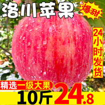 Shaanxi Luochuan Red Fuji Apple Yanan fruit fresh season whole box crisp sweet crystal sugar heart 10kg with ten