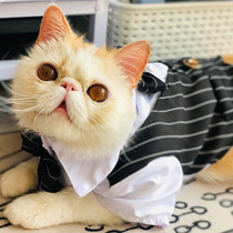 Pet cat dog summer clothes thin suit shirt wedding dress puppet blue cat English short wedding suit