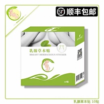Hong Kong Aini breast herbal stickers a box of ten stickers