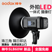 Shen Niu SLB60W integrated LED outside camera light photography light portrait children video shooting fill light