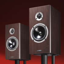 Changye Audio UK AE Neo 1 V2 imported fever Hifi bookshelf speaker