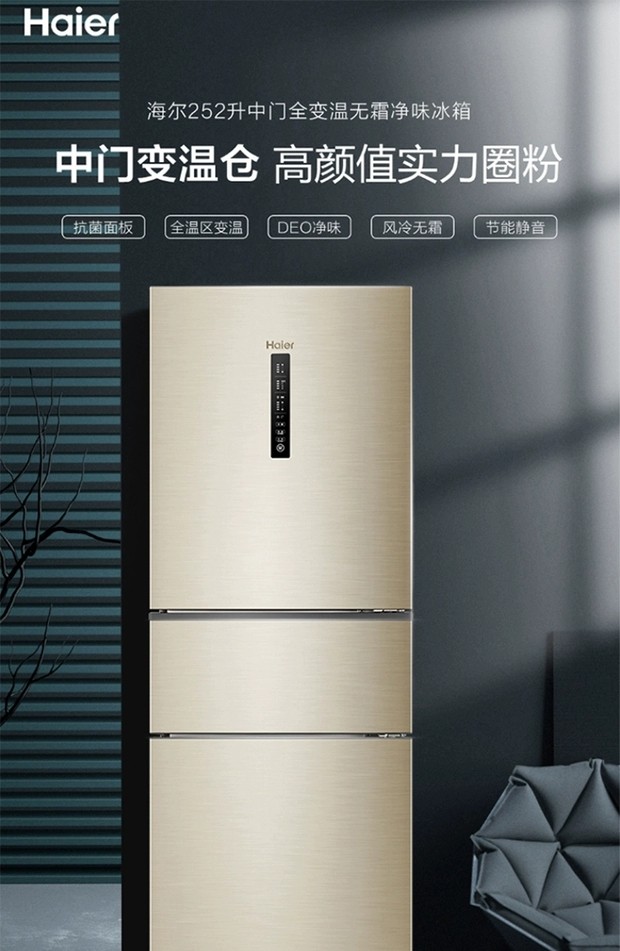 海尔 BCD-252WXPS如是点评