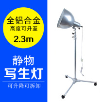 Sketch light Batfora sketching lamp 2 3m still life lamp spotlight deep mouth lamp sketching teaching aids photography supplementary light