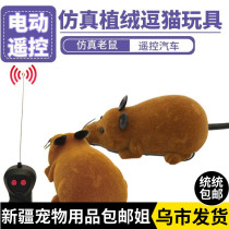 Xinjiang Brother-in-law Cat Toy Rat Wireless Remote Control Teasing Cat Electric Cat Emulation Shake Sound The Same Pet Toy